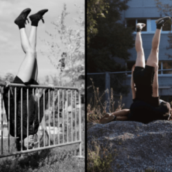 Parade d ’ i n t i m i d a t i o n aigre-douce en Terrain Vague